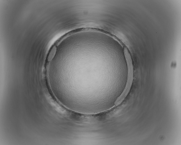 X0000092260928200709141206