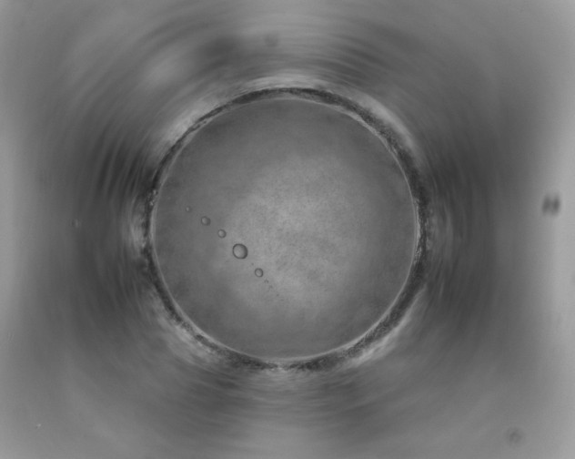 X0000092260929200709141206