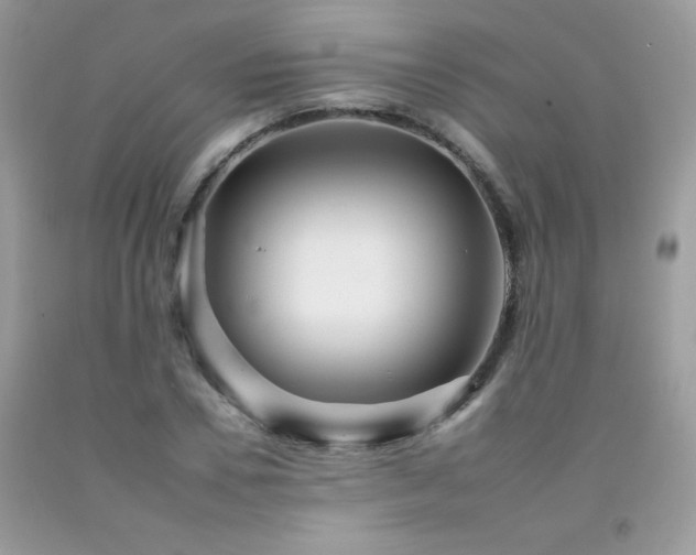 X0000092260930200709141206