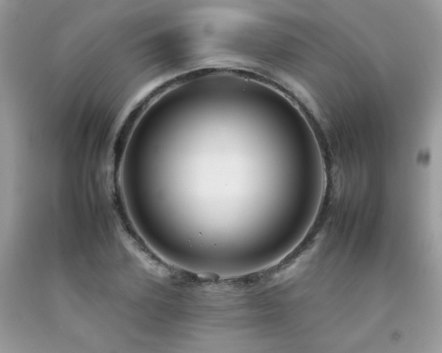 X0000092260931200709141206