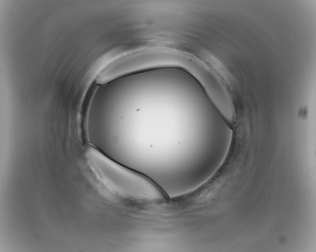 X0000092260932200709141206