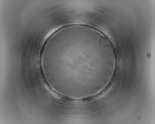 X0000092260933200709141206