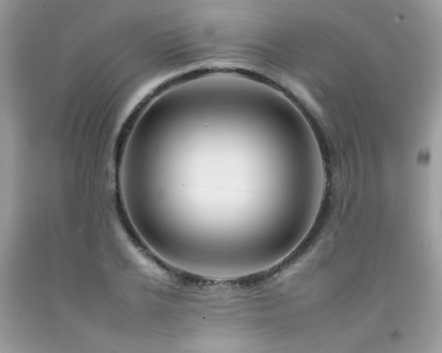 X0000092260934200709141206