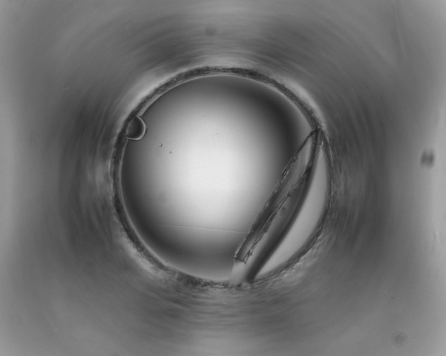 X0000092260935200709141206