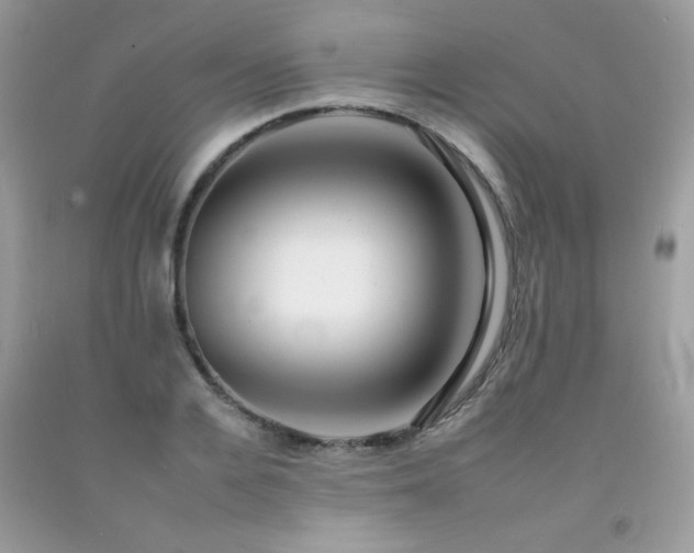 X0000092260936200709141206