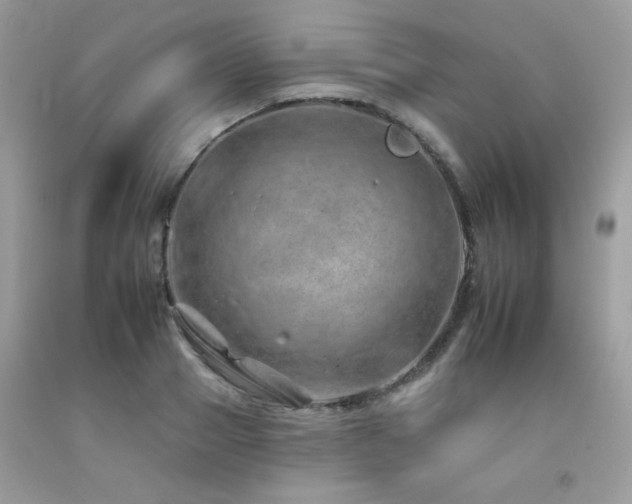 X0000092260937200709141206