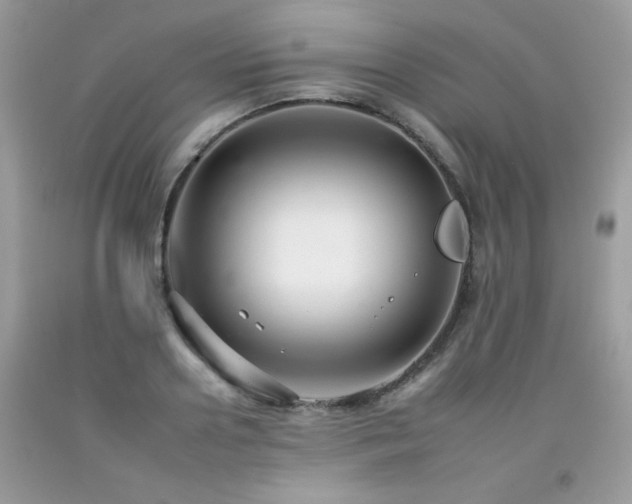 X0000092260938200709141206