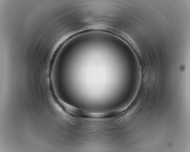 X0000092260939200709141206