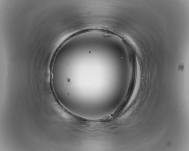 X0000092260940200709141206