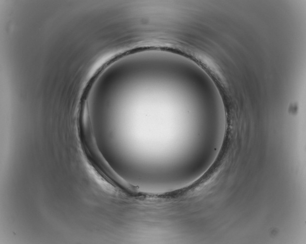 X0000092260942200709141206
