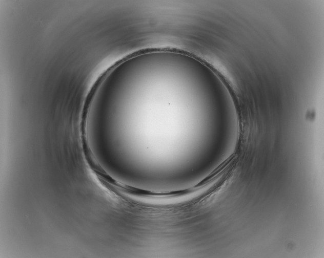 X0000092260943200709141206