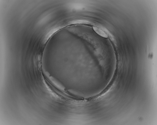 X0000092260945200709141206