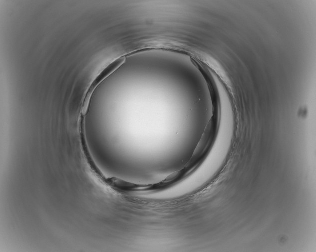 X0000092260946200709141206