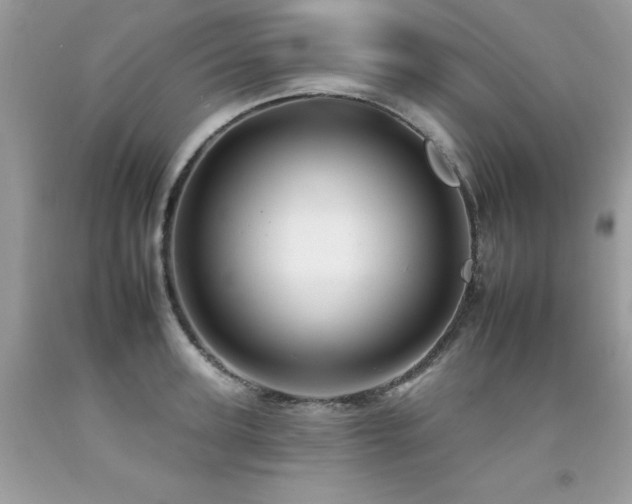X0000092260947200709141206