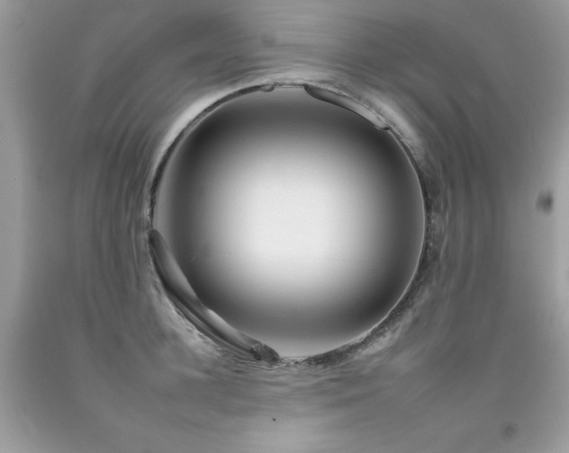 X0000092260948200709141206