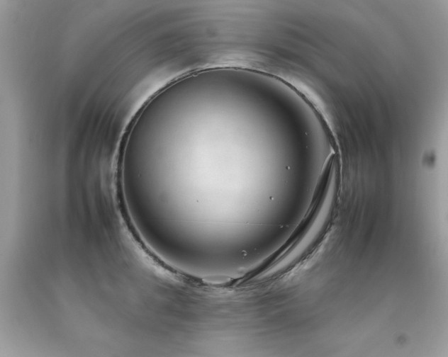 X0000092260949200709141206