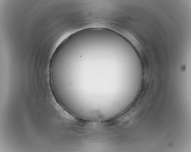 X0000092260950200709141206