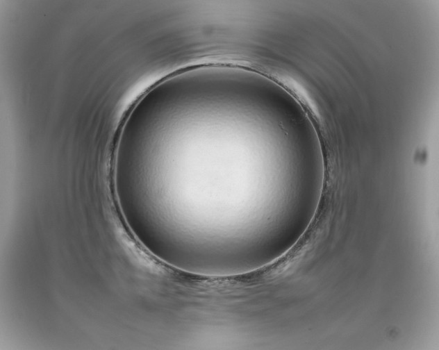 X0000092260952200709141206