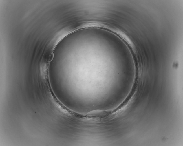 X0000092260953200709141206