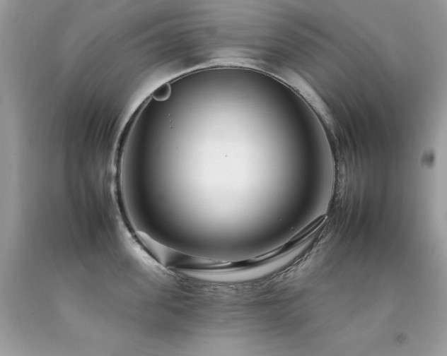 X0000092260955200709141206