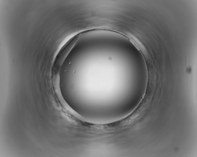 X0000092260956200709141206