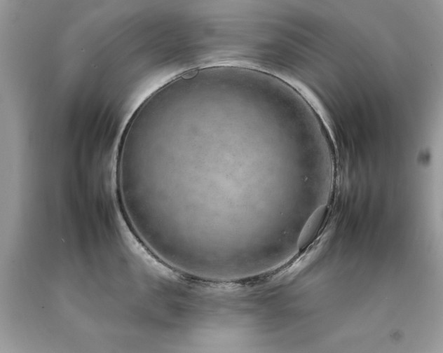 X0000092260957200709141206