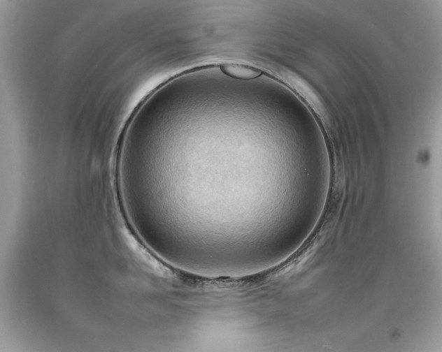 X0000092260958200709141206