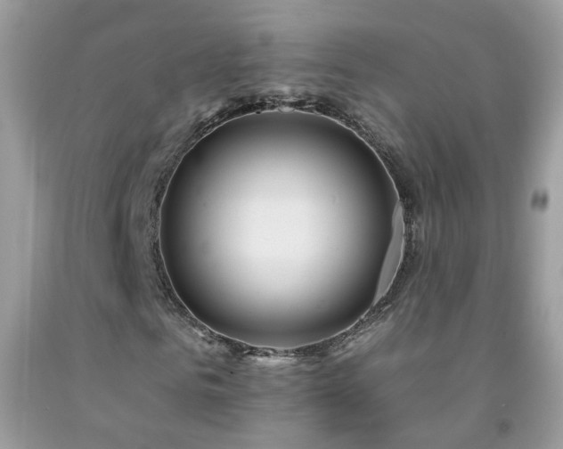 X0000092260961200709141206