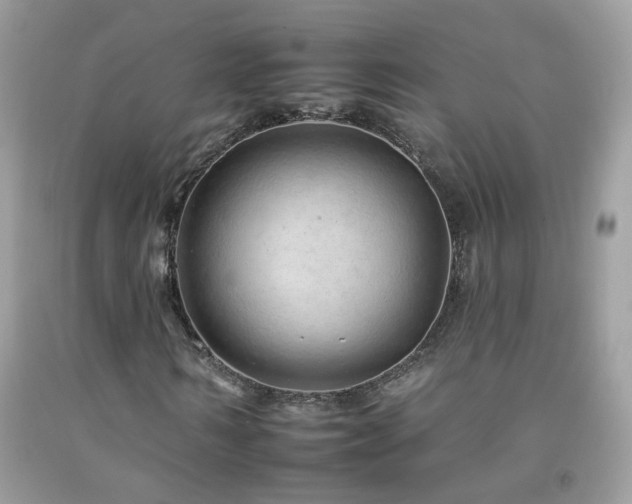 X0000092260962200709141206