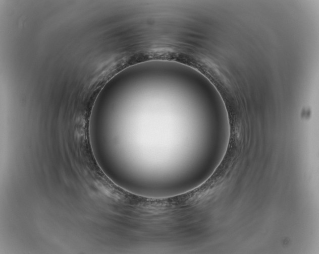 X0000092260964200709141206