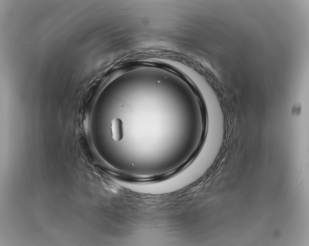 X0000092260965200709141206