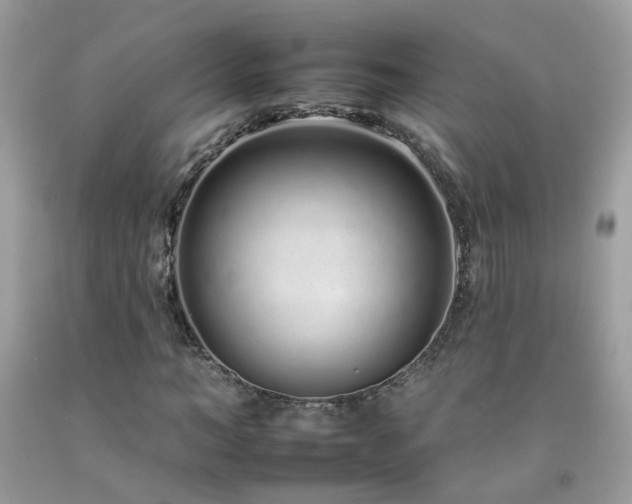 X0000092260966200709141206