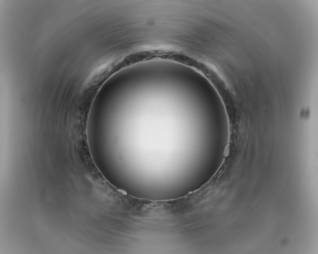 X0000092260967200709141206