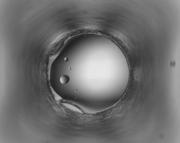 X0000092260968200709141206