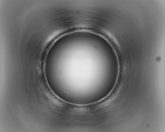 X0000092260970200709141206
