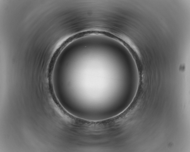 X0000092260972200709141206