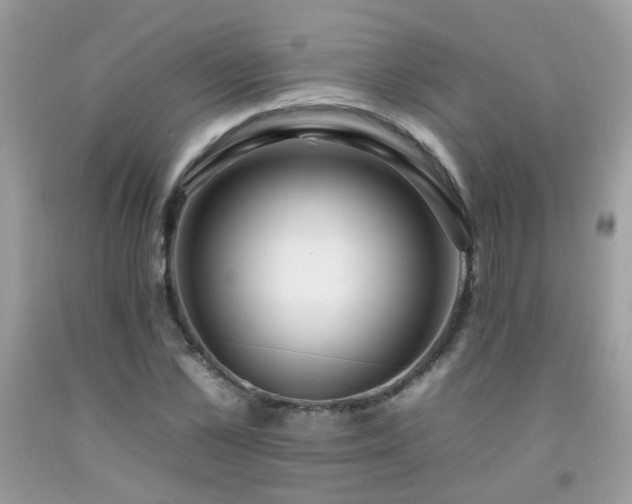 X0000092260973200709141206