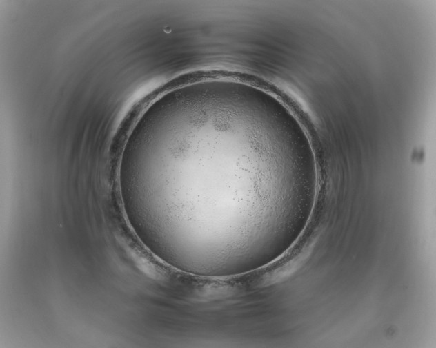 X0000092260974200709141206
