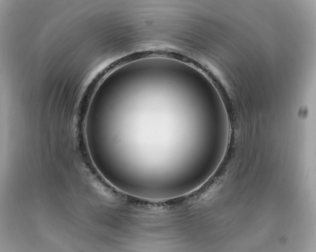 X0000092260975200709141206