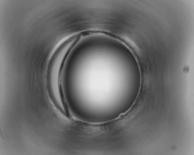 X0000092260976200709141206