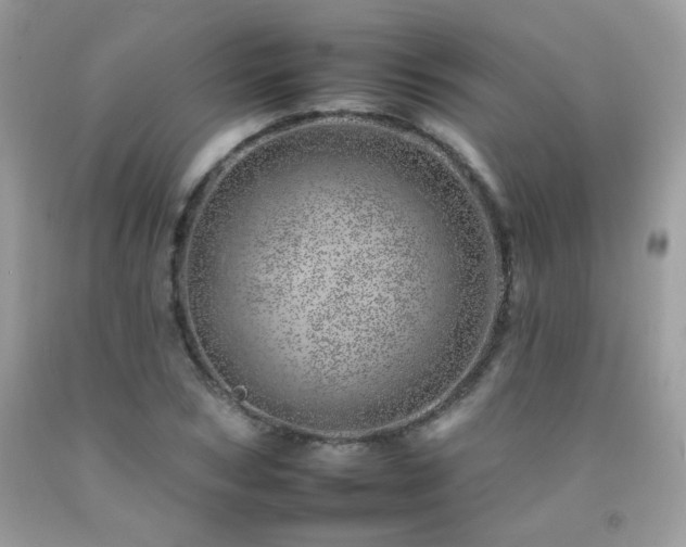 X0000092260978200709141206