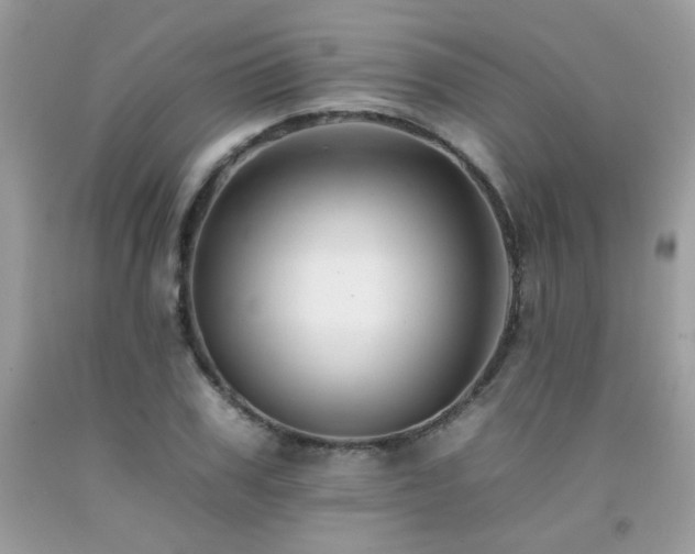 X0000092260979200709141206