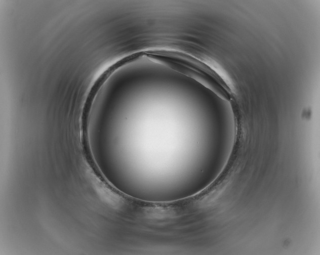 X0000092260980200709141206