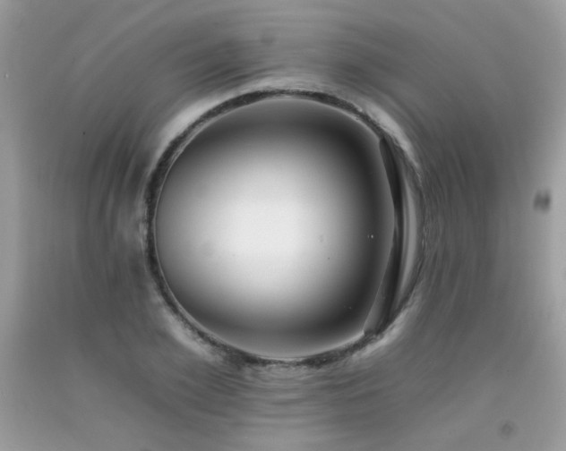 X0000092260981200709141206