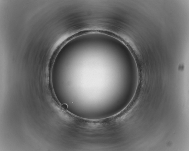 X0000092260982200709141206