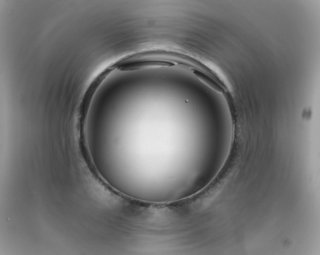 X0000092260983200709141206
