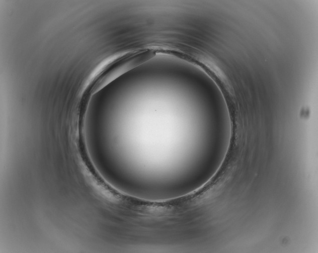 X0000092260984200709141206