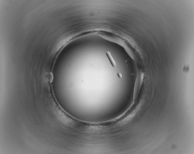 X0000092260985200709141206