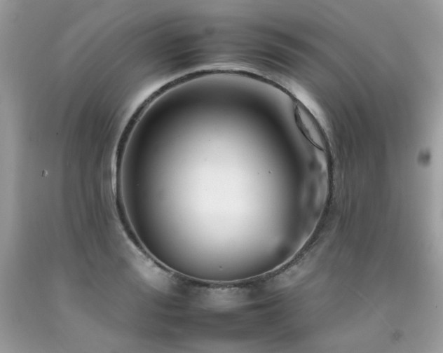 X0000092260988200709141206