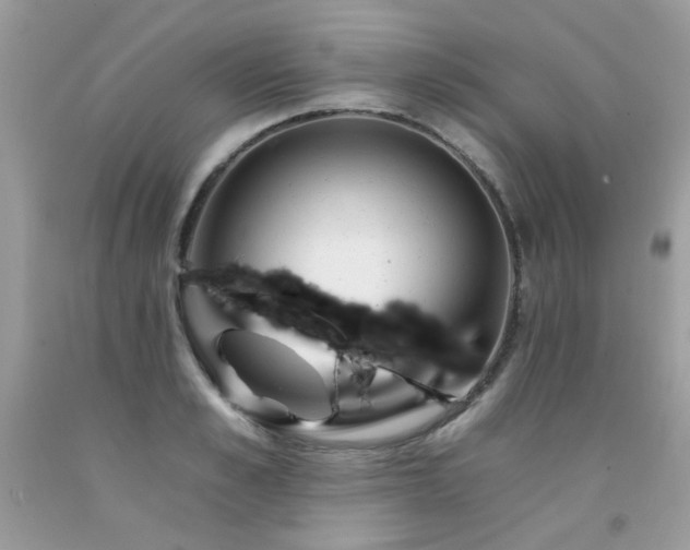X0000092260989200709141206